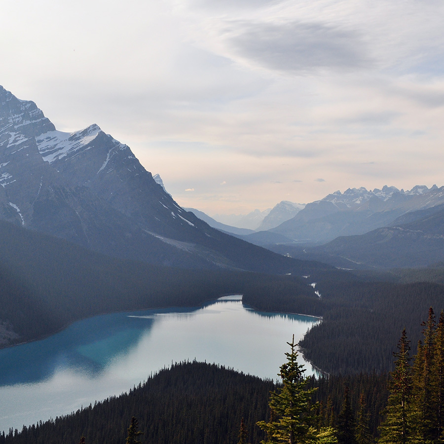 Copyright: unsplash.com