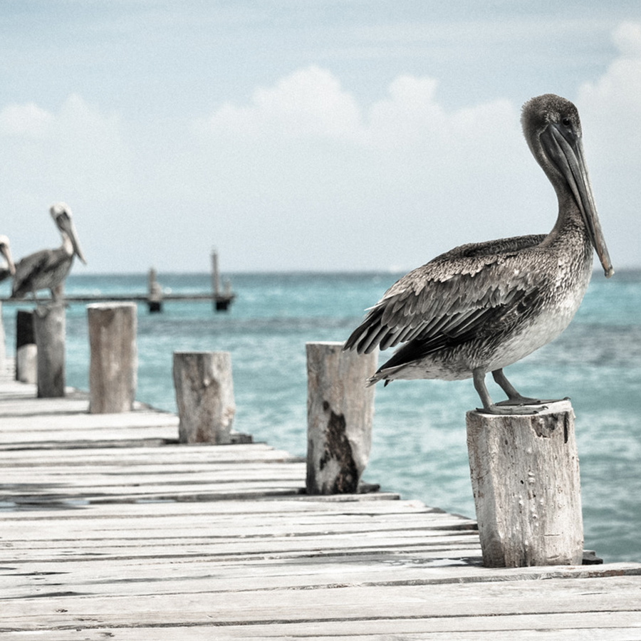 Copyright: http://unsplash.com